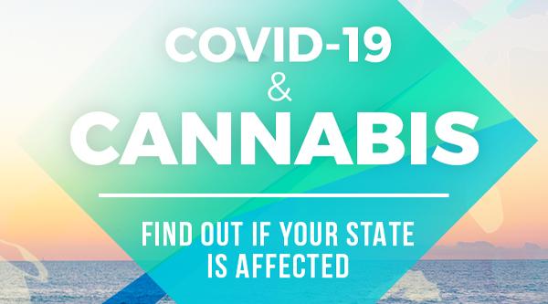  Recreational Cannabis Businesses Operate During the COVID-19 Lockdown