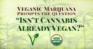 Veganic Marijuana Prompts the Question “Isn’t Cannabis Already Vegan?”