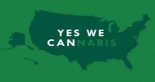 Washington D.C., Oregon, and Alaska Vote "Yes" on Marijuana Legalization