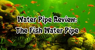 Water Pipe Review: There's Something Fishy About This Pipe - Marijuana Packaging