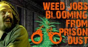 Weed Jobs Bloom from Dust of Abandoned Prison
