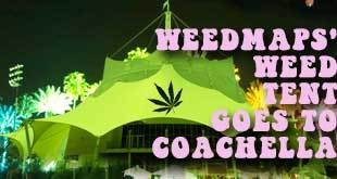 Weed Tent Sponsored by WeedMaps to Set Up Opposite Coachella