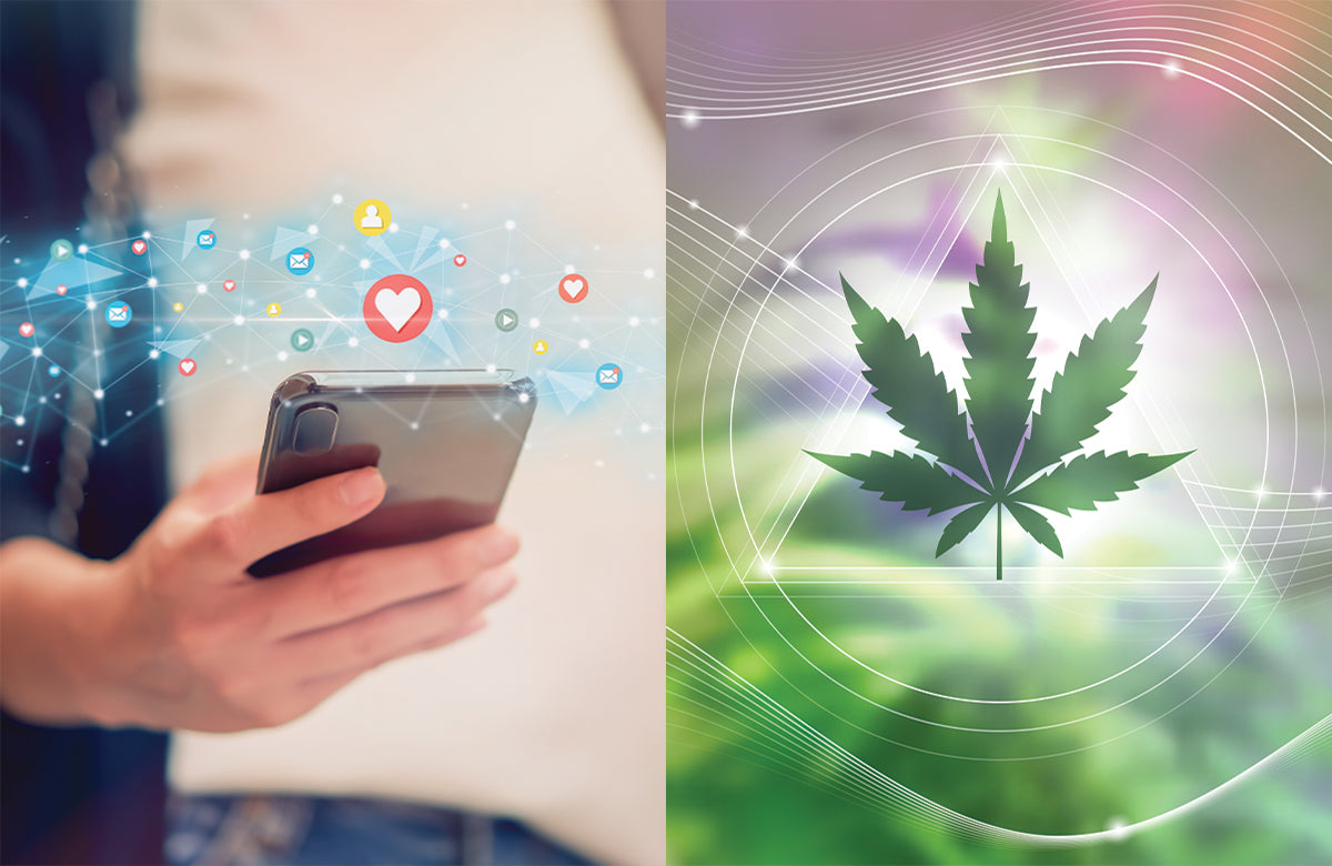 Berner Teams With Weedmaps To Create &#8220;Instagram of Marijuana&#8221;