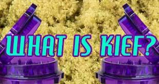 What is Kief and How Will it Help You?