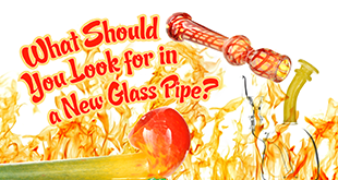 What to Look for When Shopping for a New Glass Pipe