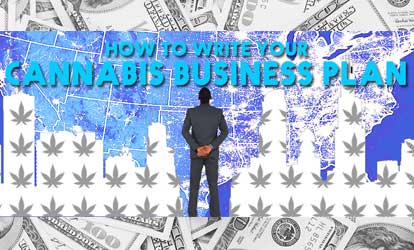 What You Need to Include in Your Cannabis Business Plan