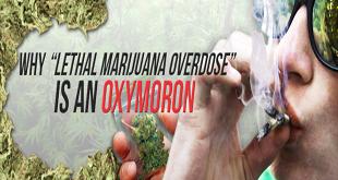 Why "Lethal Marijuana Overdose" Is an Oxymoron