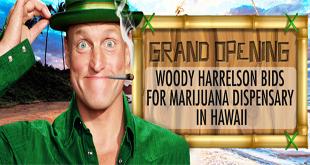 Woody Harrelson Bids For Marijuana Dispensary In Hawaii