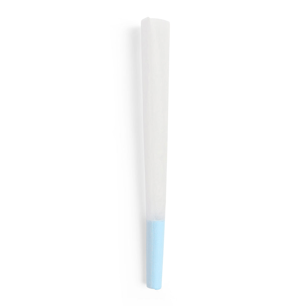 1 1/4 Size Pre-Rolled Cones w/ Blue Filter Tip 1