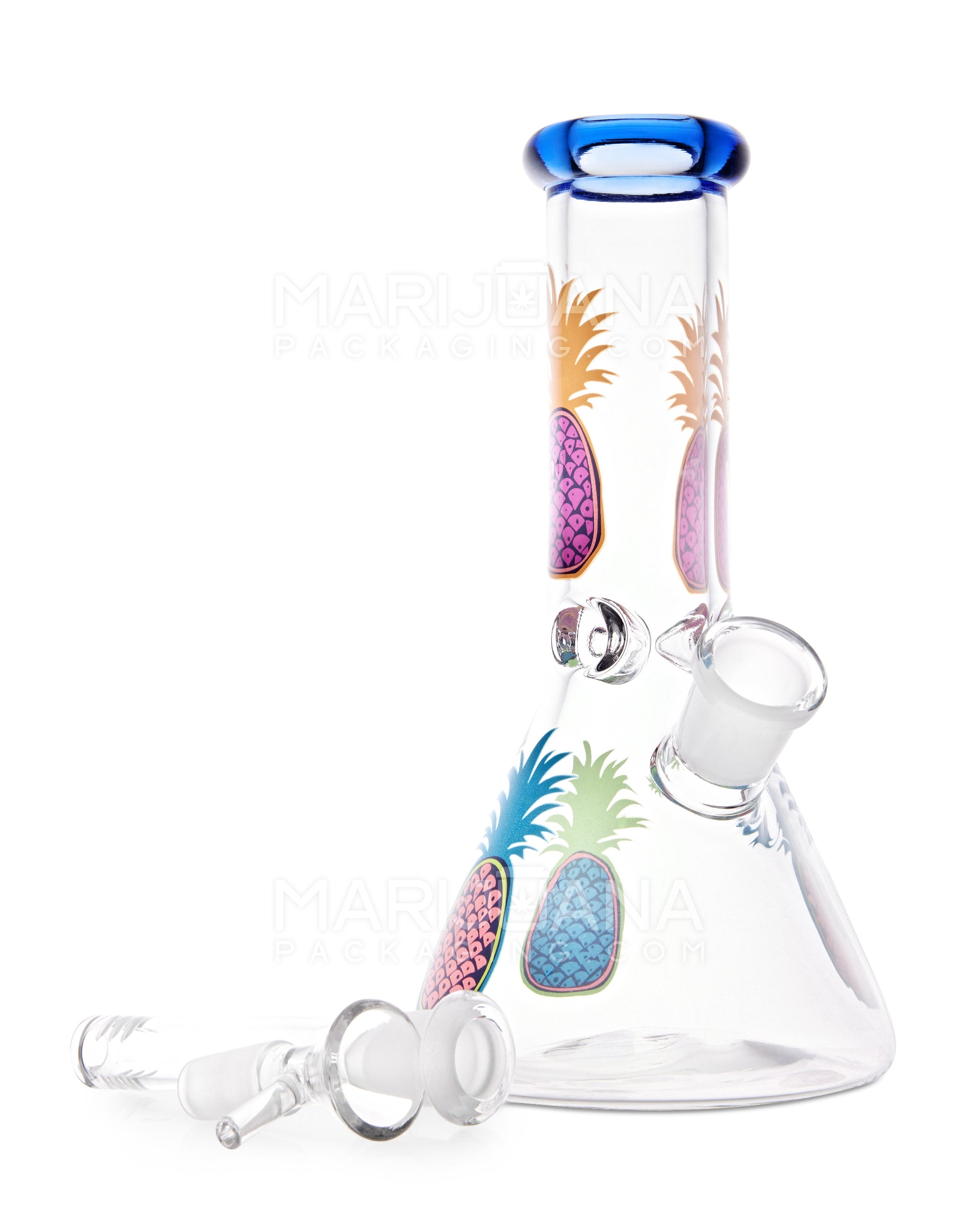 Cheap Bongs Under $25: Get The Best Dab Rigs Under $25